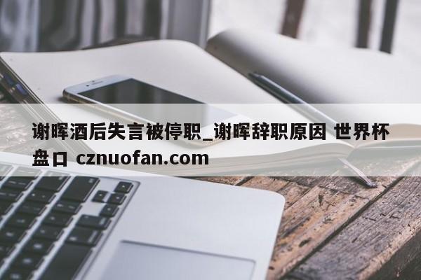 谢晖酒后失言被停职_谢晖辞职原因 世界杯盘口 cznuofan.com